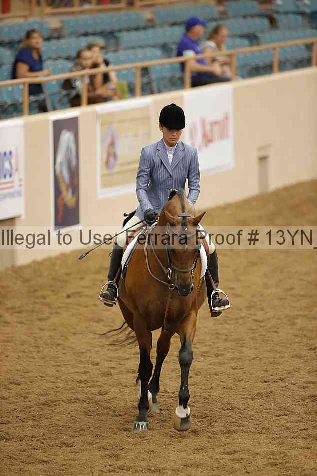 Proof Number 13yn_03654
