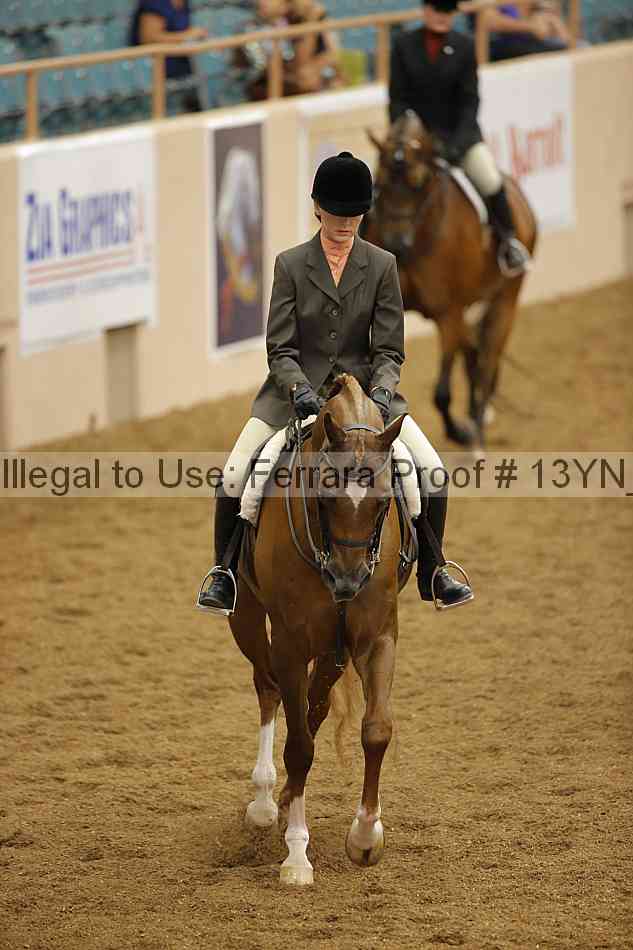 Proof Number 13yn_03659