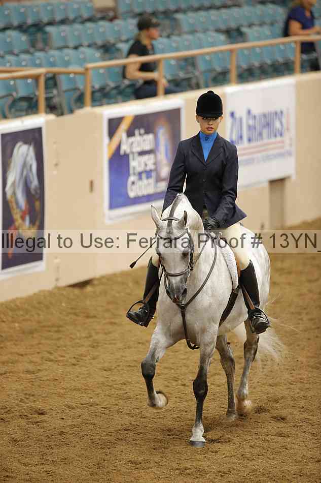 Proof Number 13yn_03681