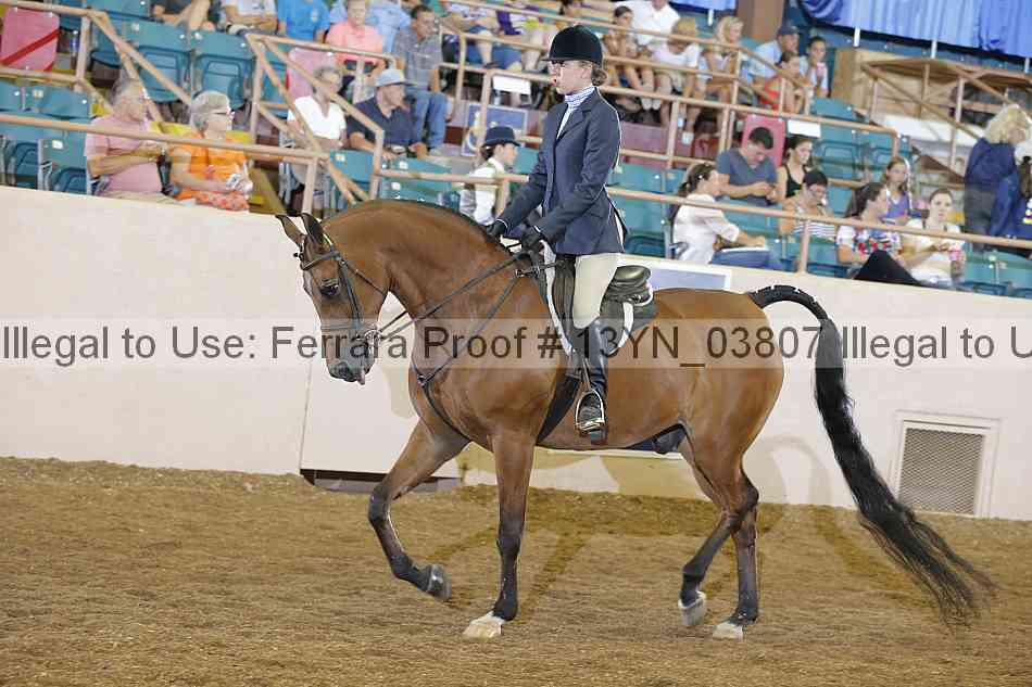 Proof Number 13yn_03807