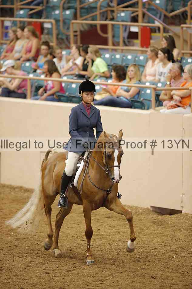 Proof Number 13yn_03853