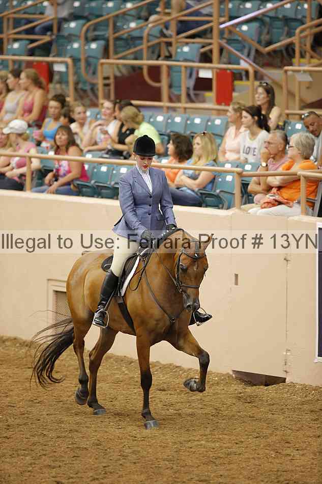 Proof Number 13yn_03854