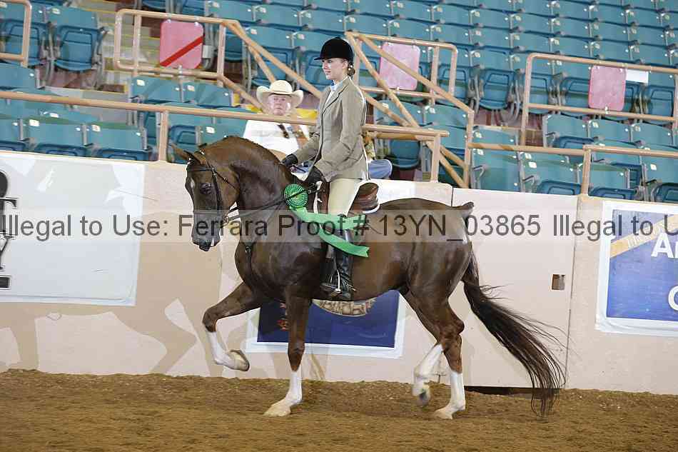 Proof Number 13yn_03865