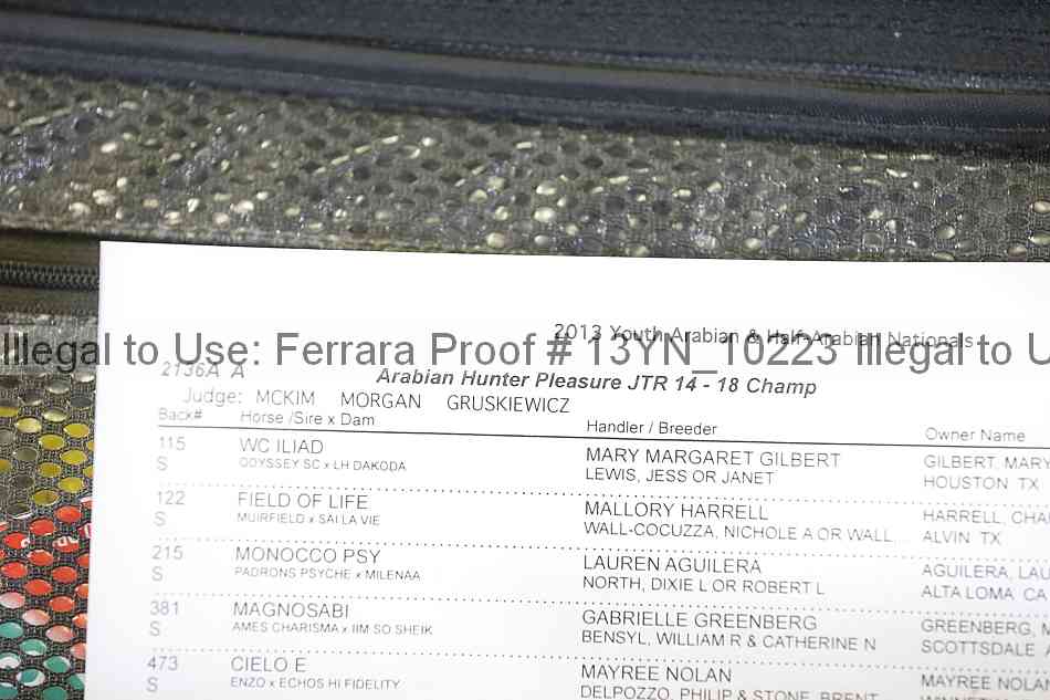 Proof Number 13yn_10223