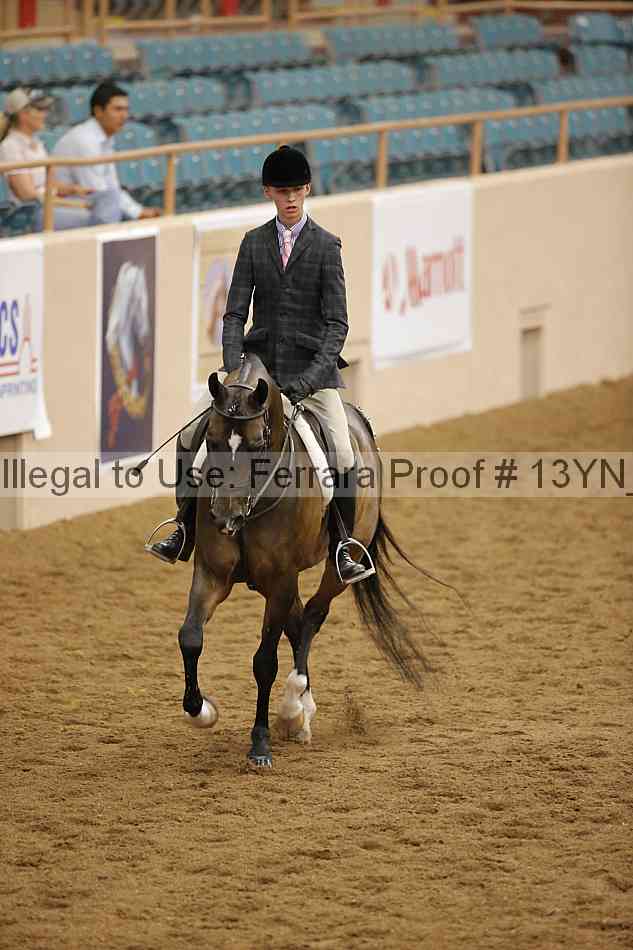 Proof Number 13yn_10226
