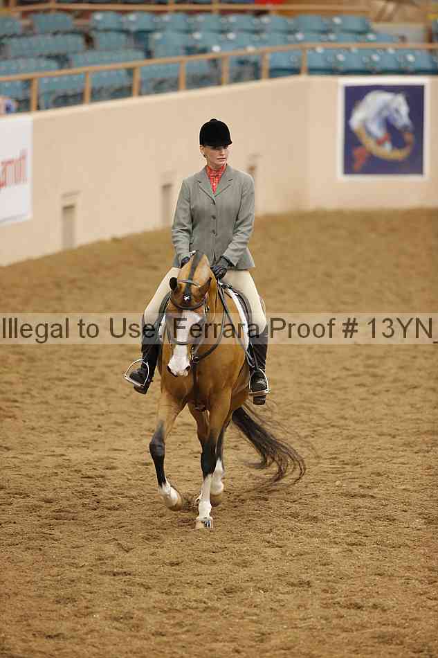 Proof Number 13yn_10235