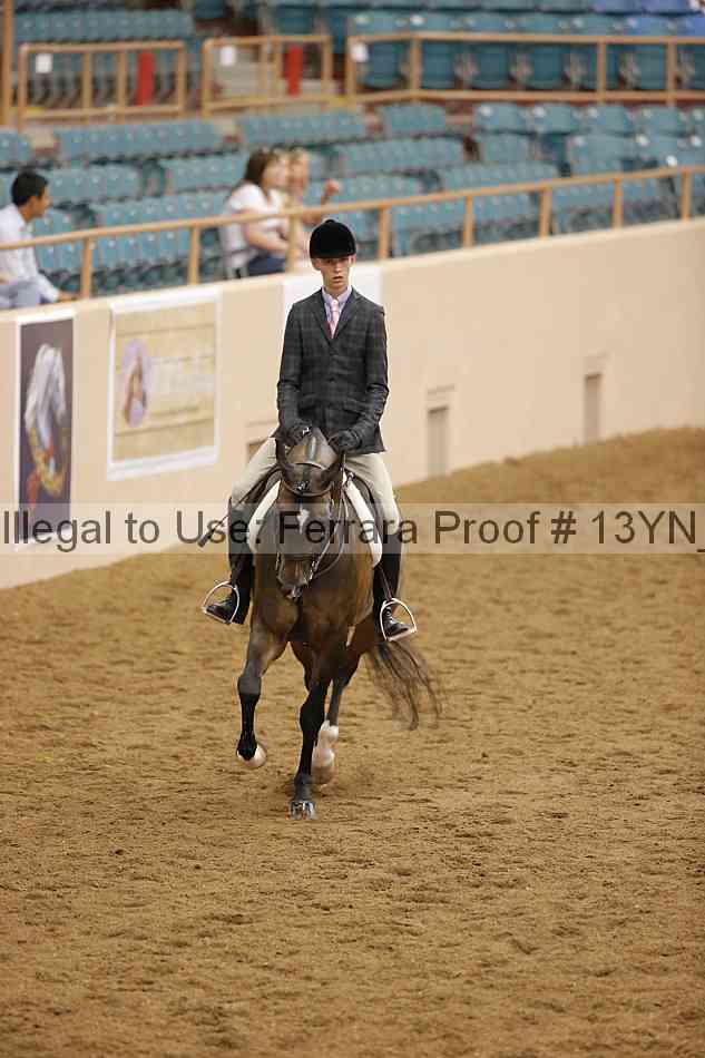 Proof Number 13yn_10239