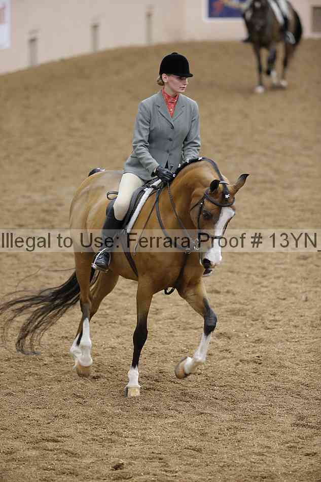 Proof Number 13yn_10255