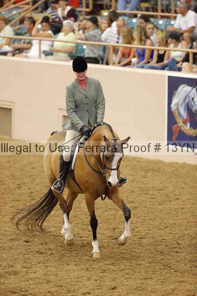 Proof Number 13yn_10278
