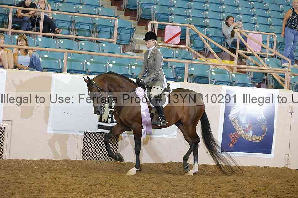 Proof Number 13yn_10291