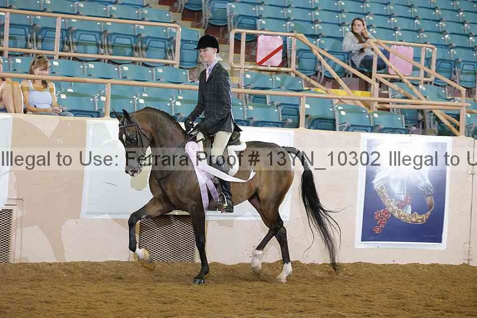 Proof Number 13yn_10302