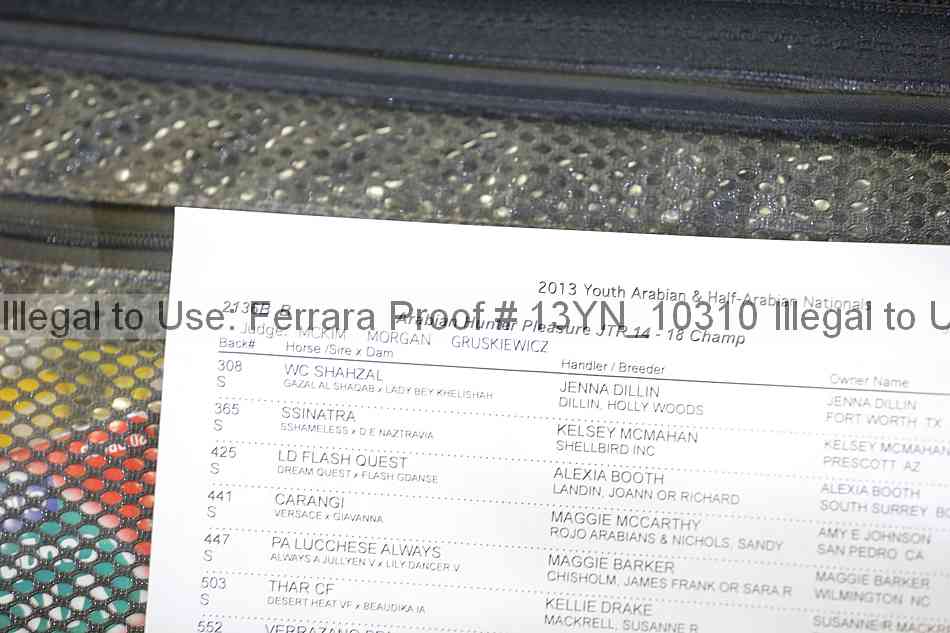 Proof Number 13yn_10310