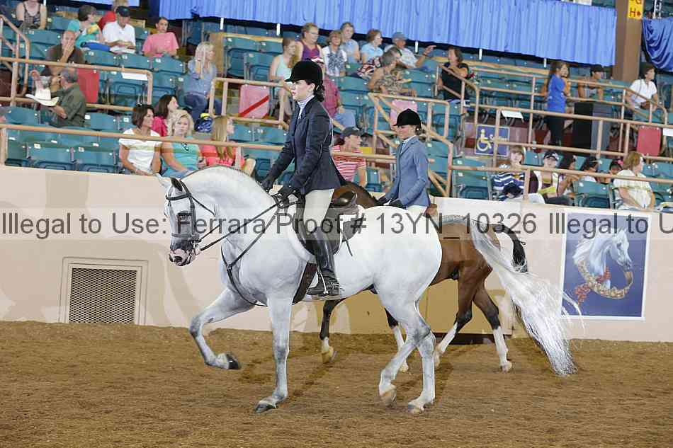 Proof Number 13yn_10326
