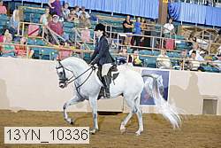 13yn_10336 thumbnail