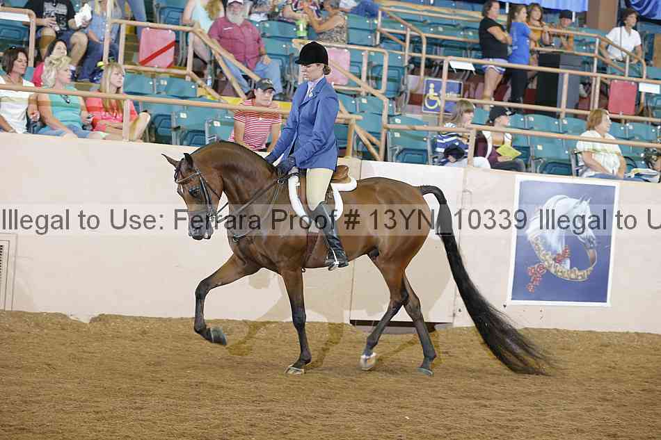 Proof Number 13yn_10339