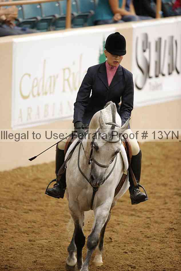 Proof Number 13yn_10347