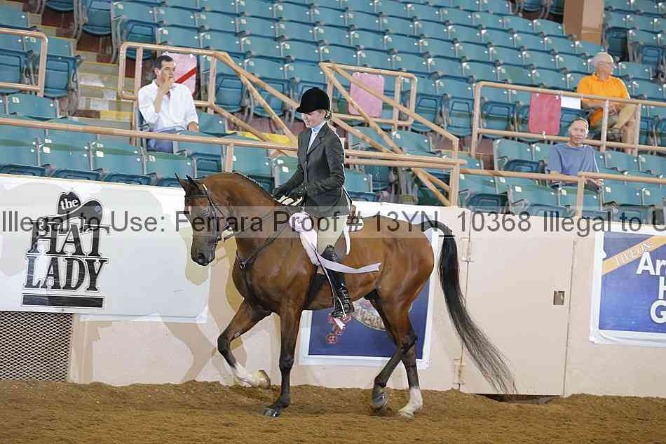 Proof Number 13yn_10368