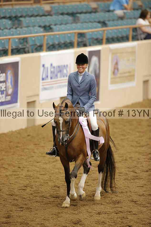 Proof Number 13yn_10381