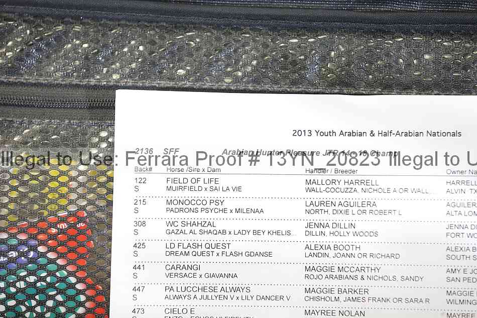 Proof Number 13yn_20823