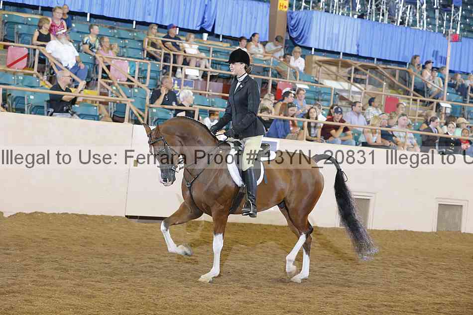Proof Number 13yn_20831