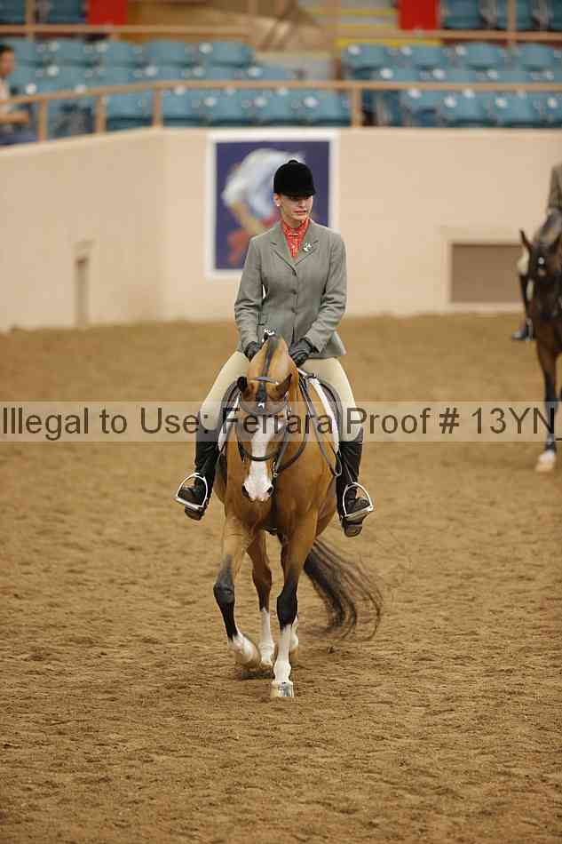 Proof Number 13yn_20832