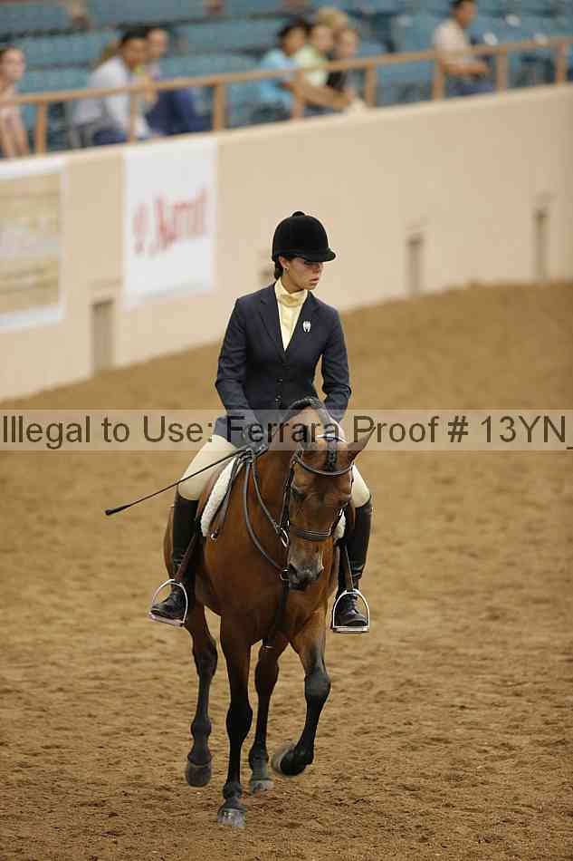 Proof Number 13yn_20838