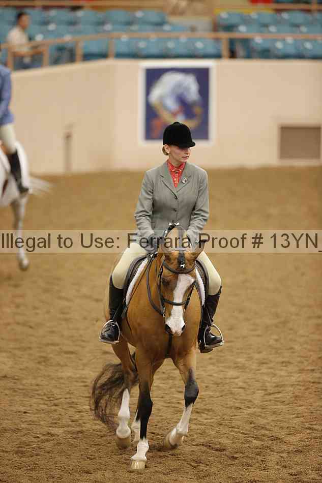 Proof Number 13yn_20843