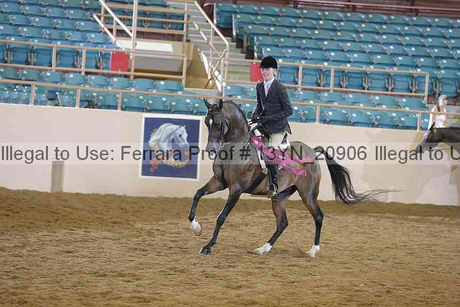 Proof Number 13yn_20906