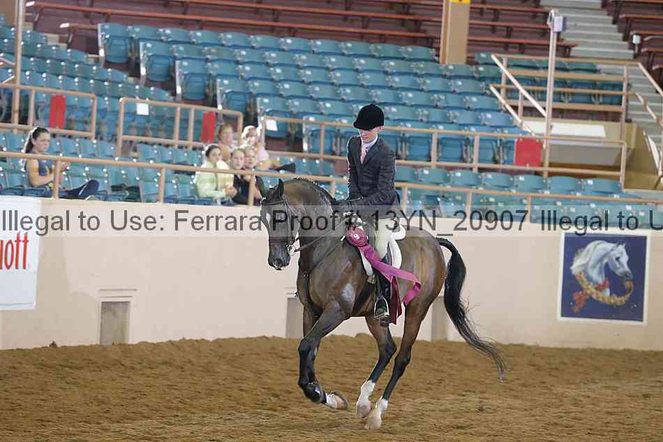 Proof Number 13yn_20907