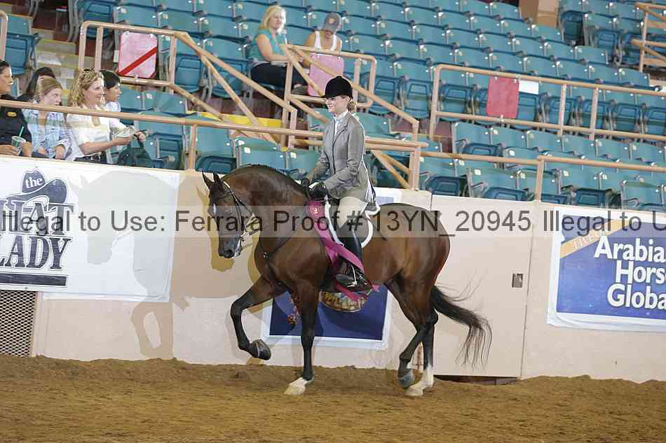 Proof Number 13yn_20945