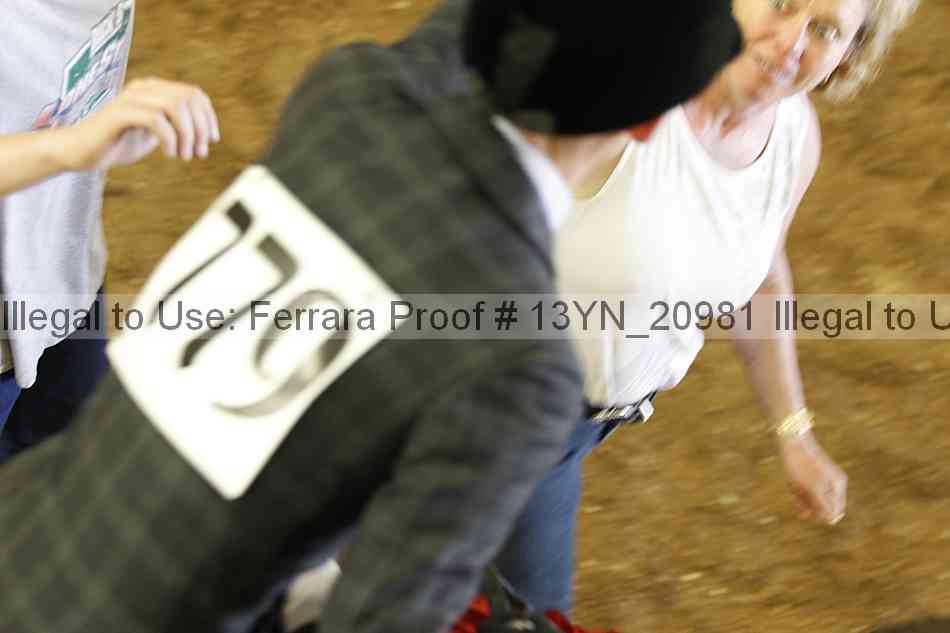 Proof Number 13yn_20981