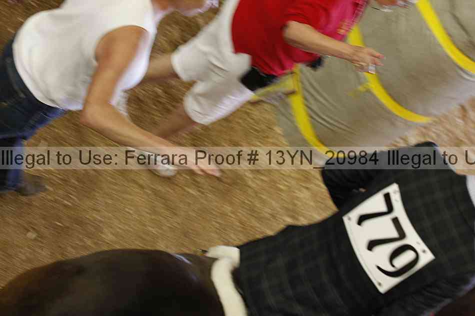 Proof Number 13yn_20984