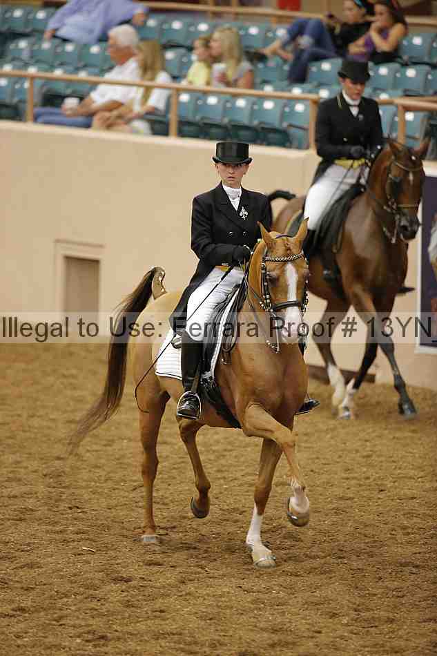 Proof Number 13yn_02005