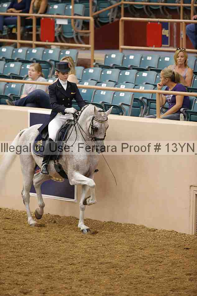 Proof Number 13yn_02007