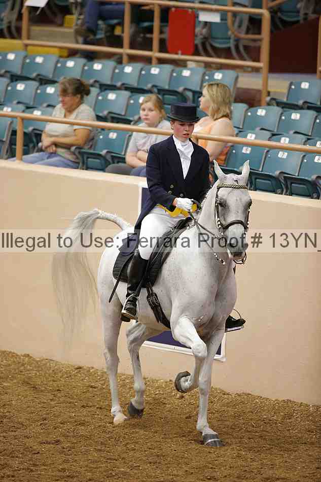 Proof Number 13yn_02010