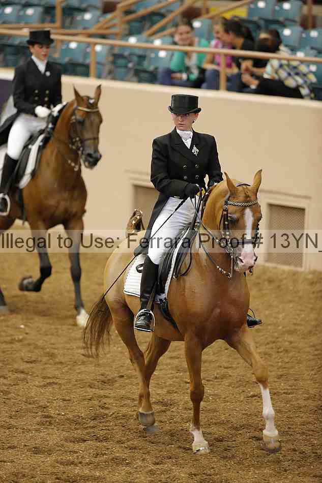 Proof Number 13yn_02011