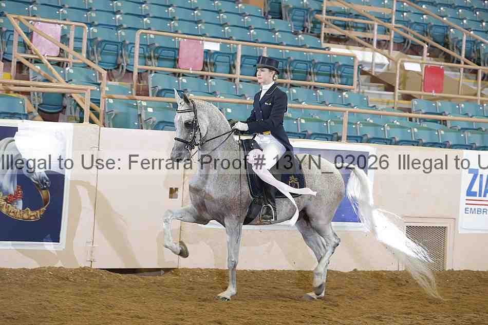 Proof Number 13yn_02026
