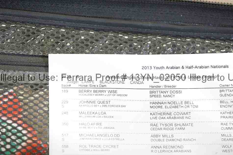 Proof Number 13yn_02050
