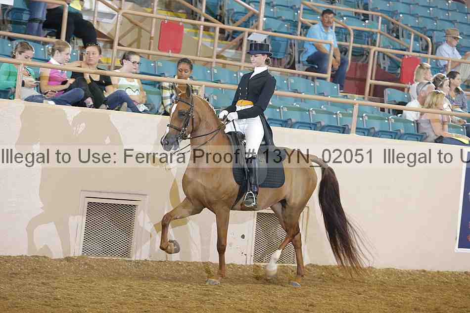 Proof Number 13yn_02051