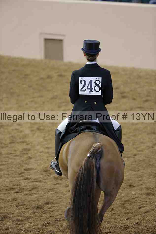 Proof Number 13yn_02052