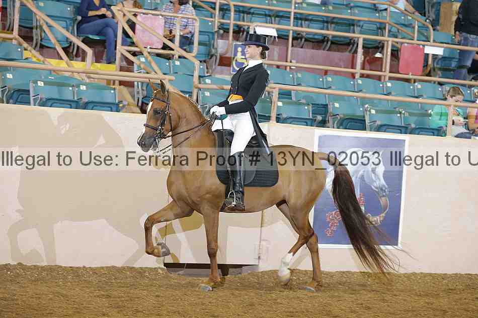Proof Number 13yn_02053