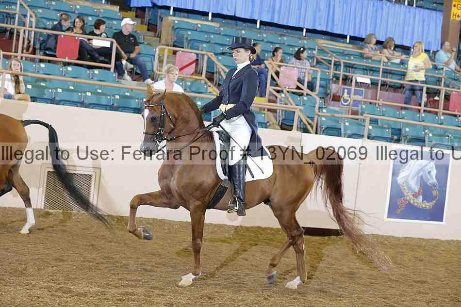 Proof Number 13yn_02069