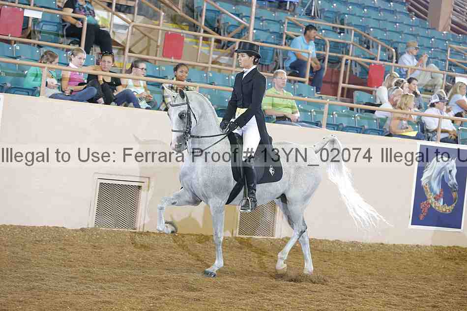 Proof Number 13yn_02074