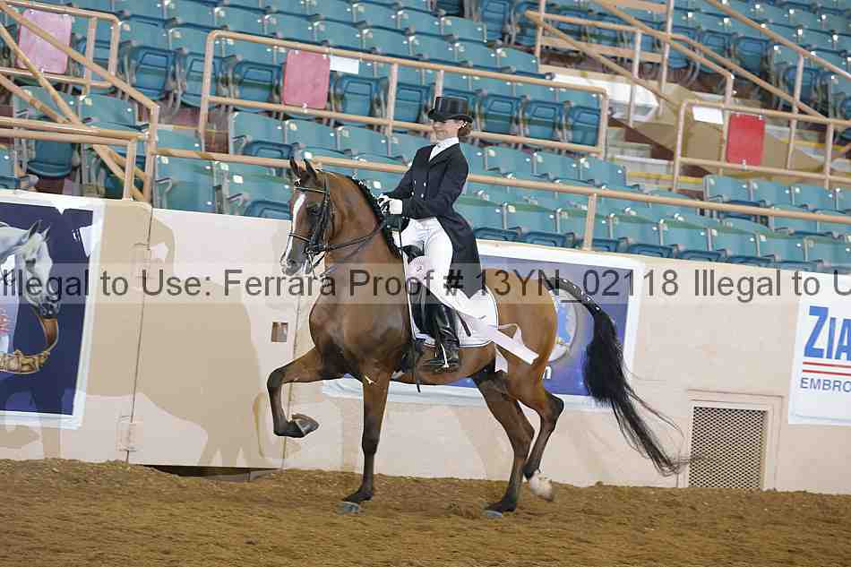 Proof Number 13yn_02118