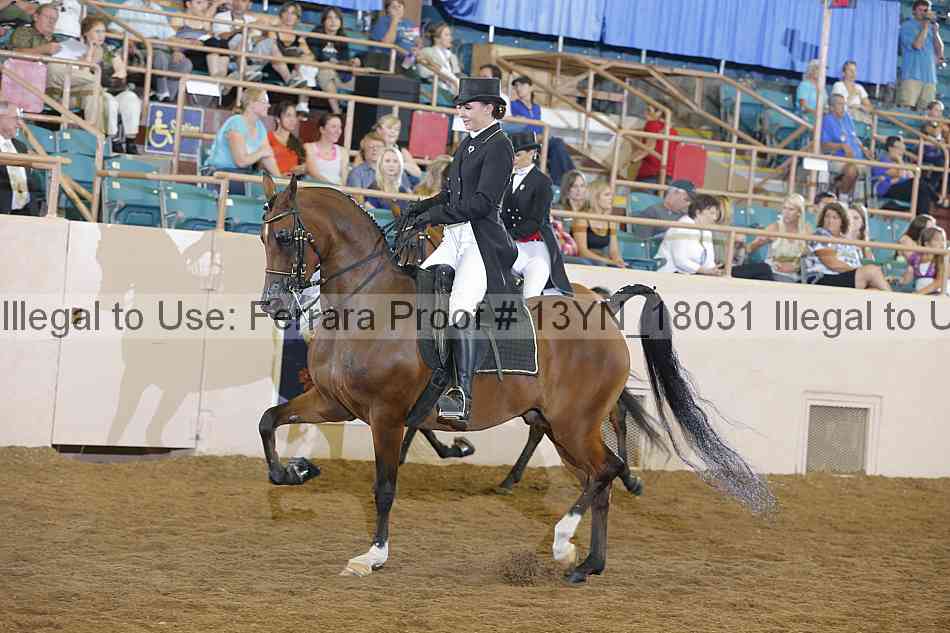 Proof Number 13yn_18031