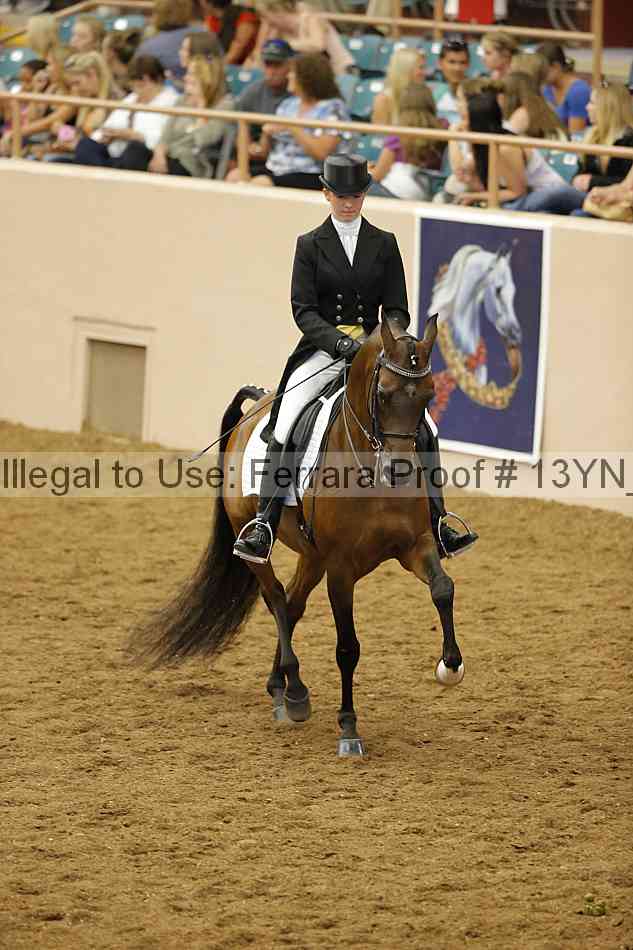 Proof Number 13yn_18050