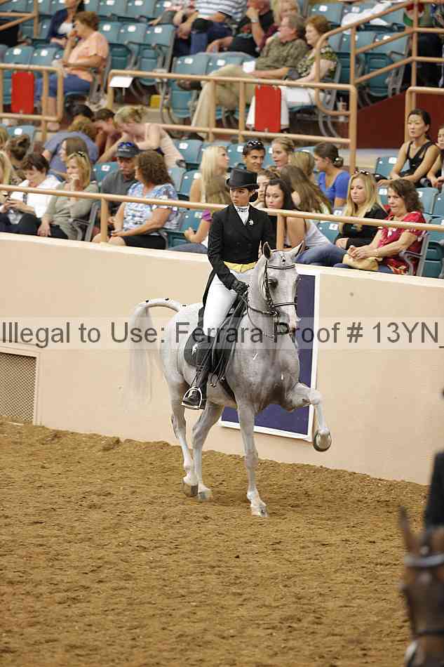 Proof Number 13yn_18051