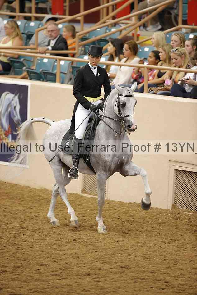 Proof Number 13yn_18058