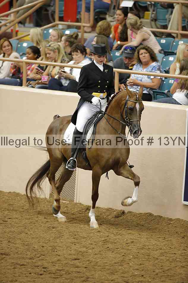 Proof Number 13yn_18060