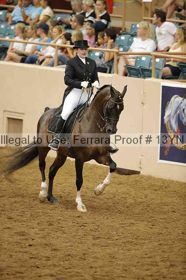 Proof Number 13yn_18061